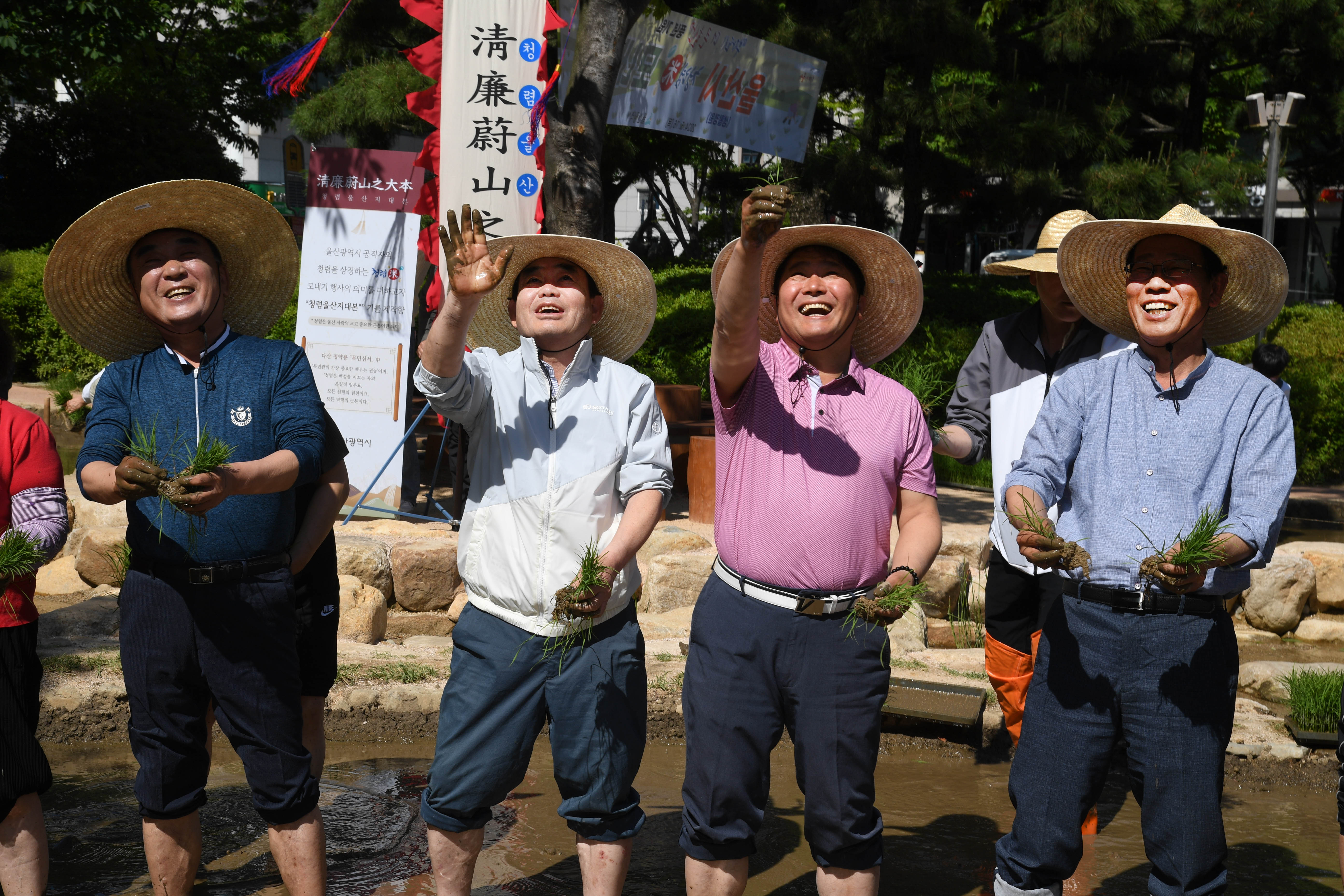 시 청사 생활정원 내 모내기 행사4