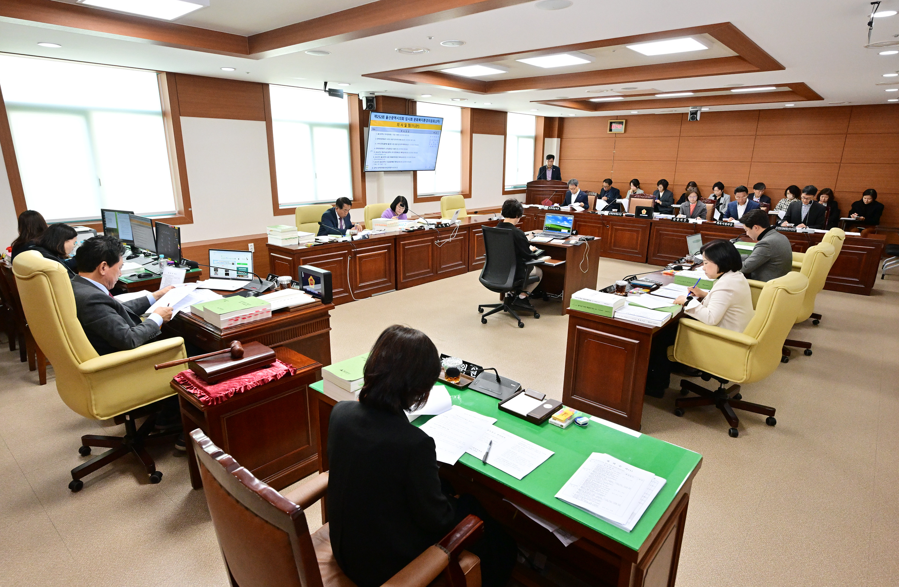 문화복지환경위원회, 문화관광체육국 소관 2025년도 본예산안 및 2024년도 제3회 추경예산안 등 심사1