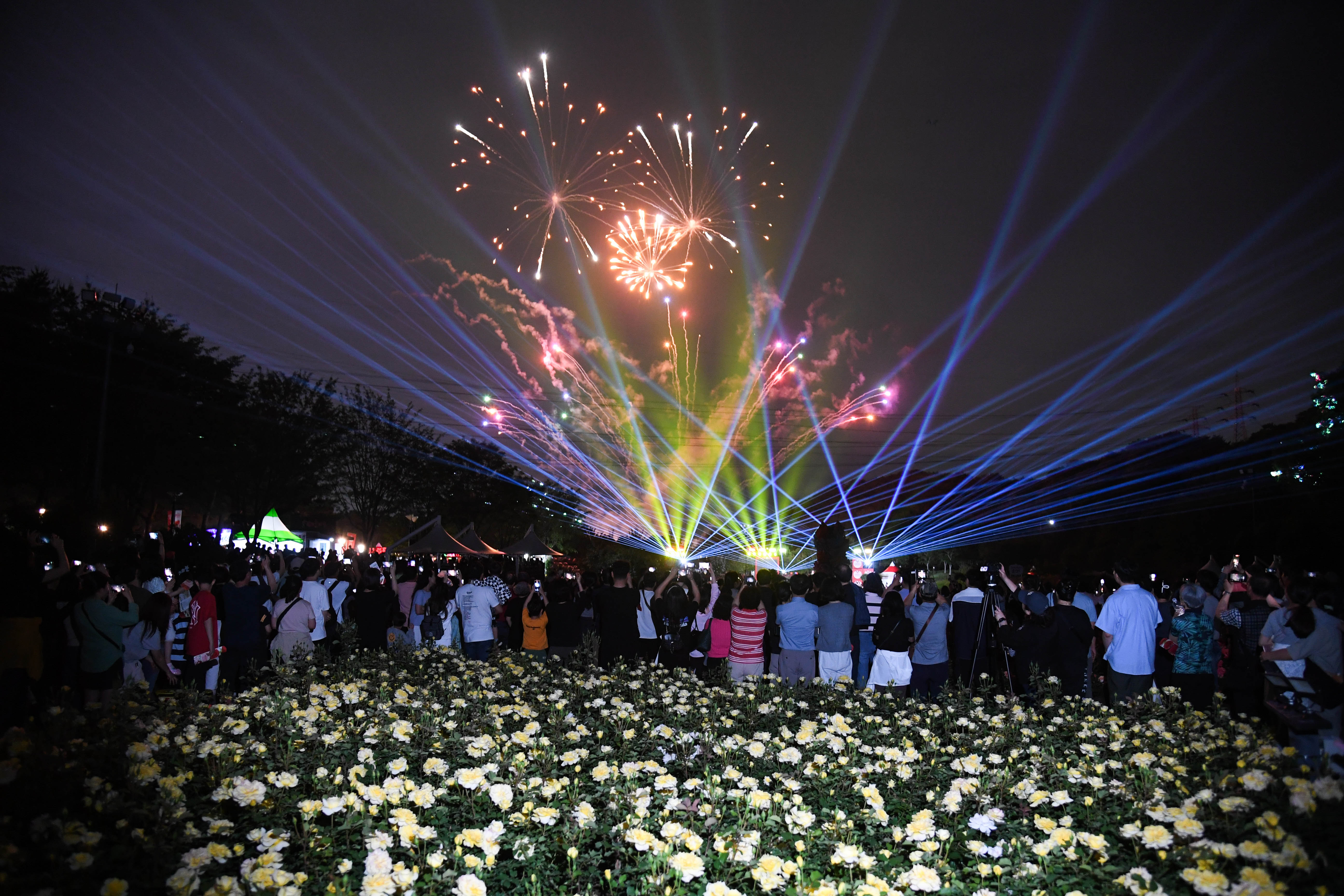 2025 제17회 울산대공원 장미축제 개막식6