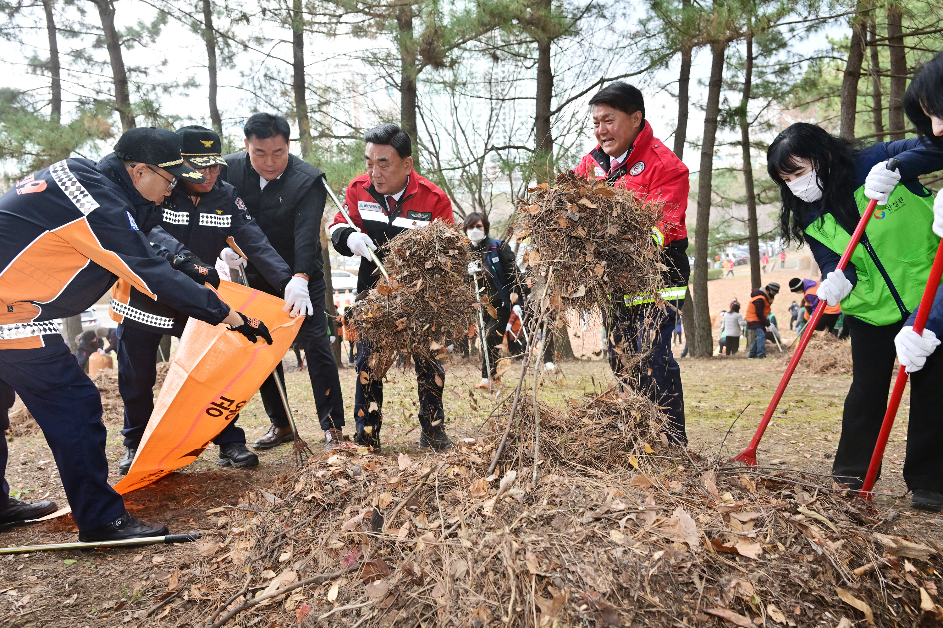 산불예방을 위한 도심 주변 산림 내 인화물질 제거 캠페인 2