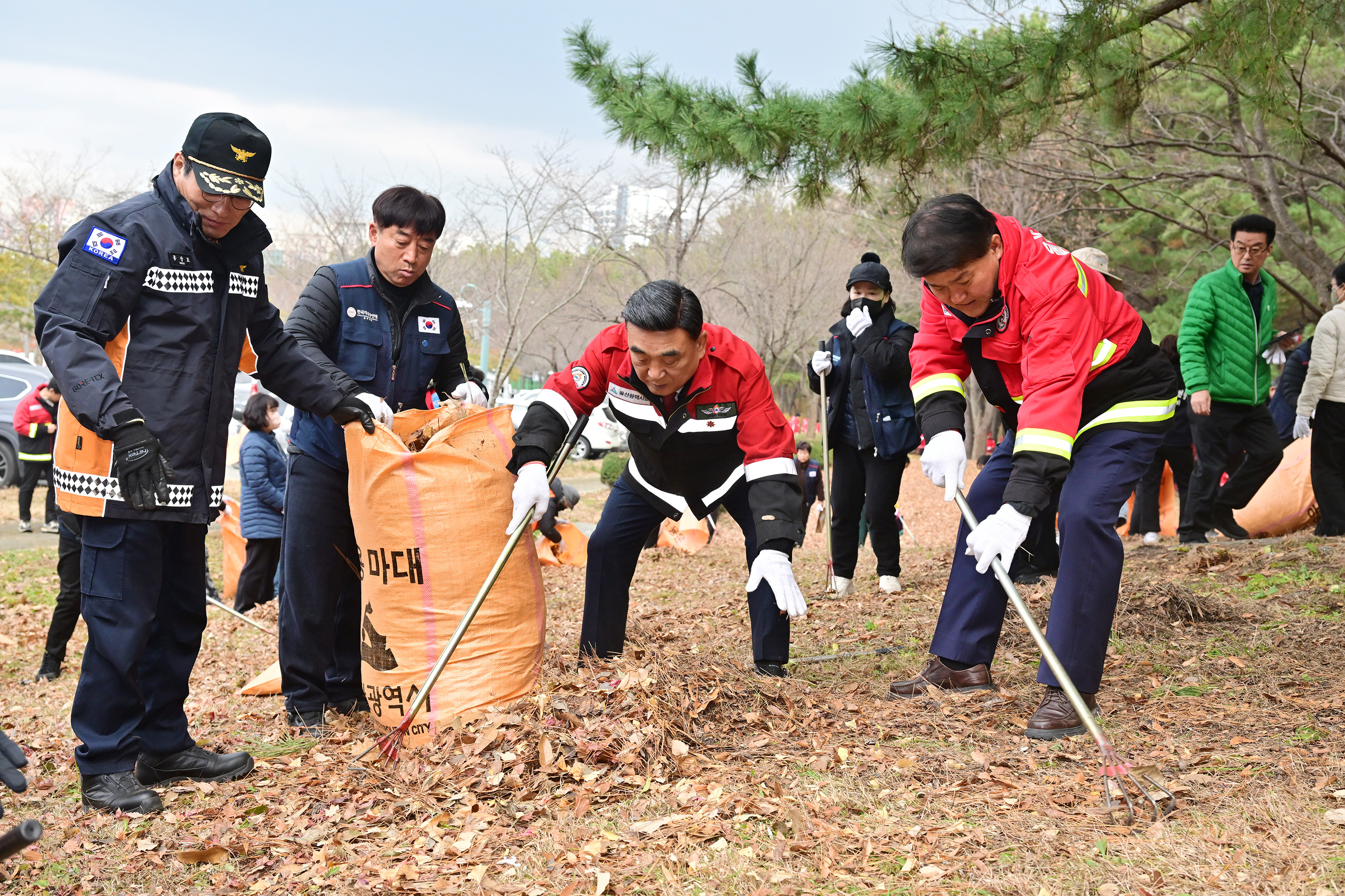 산불예방을 위한 도심 주변 산림 내 인화물질 제거 캠페인 6